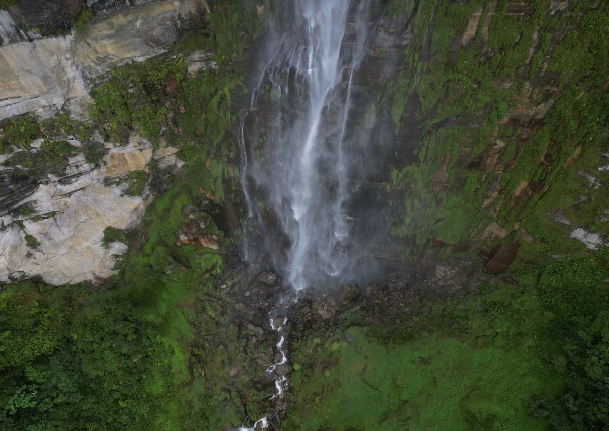 Bosques de Camaxagua