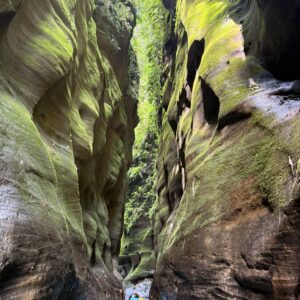 Bosques de Camaxagua Mesetas | Canyoning y Vía Ferrata TUREM